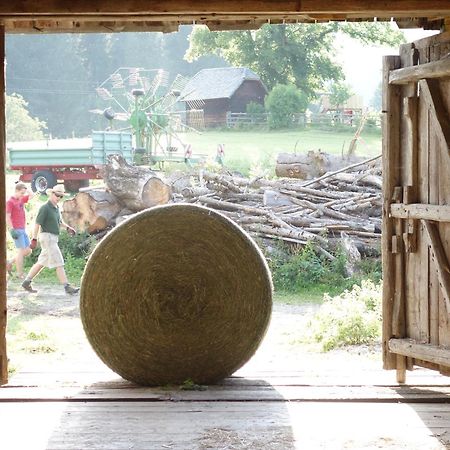 فيلا Urlaub Am Bio-Bauernhof Liebchen Zeutschach المظهر الخارجي الصورة