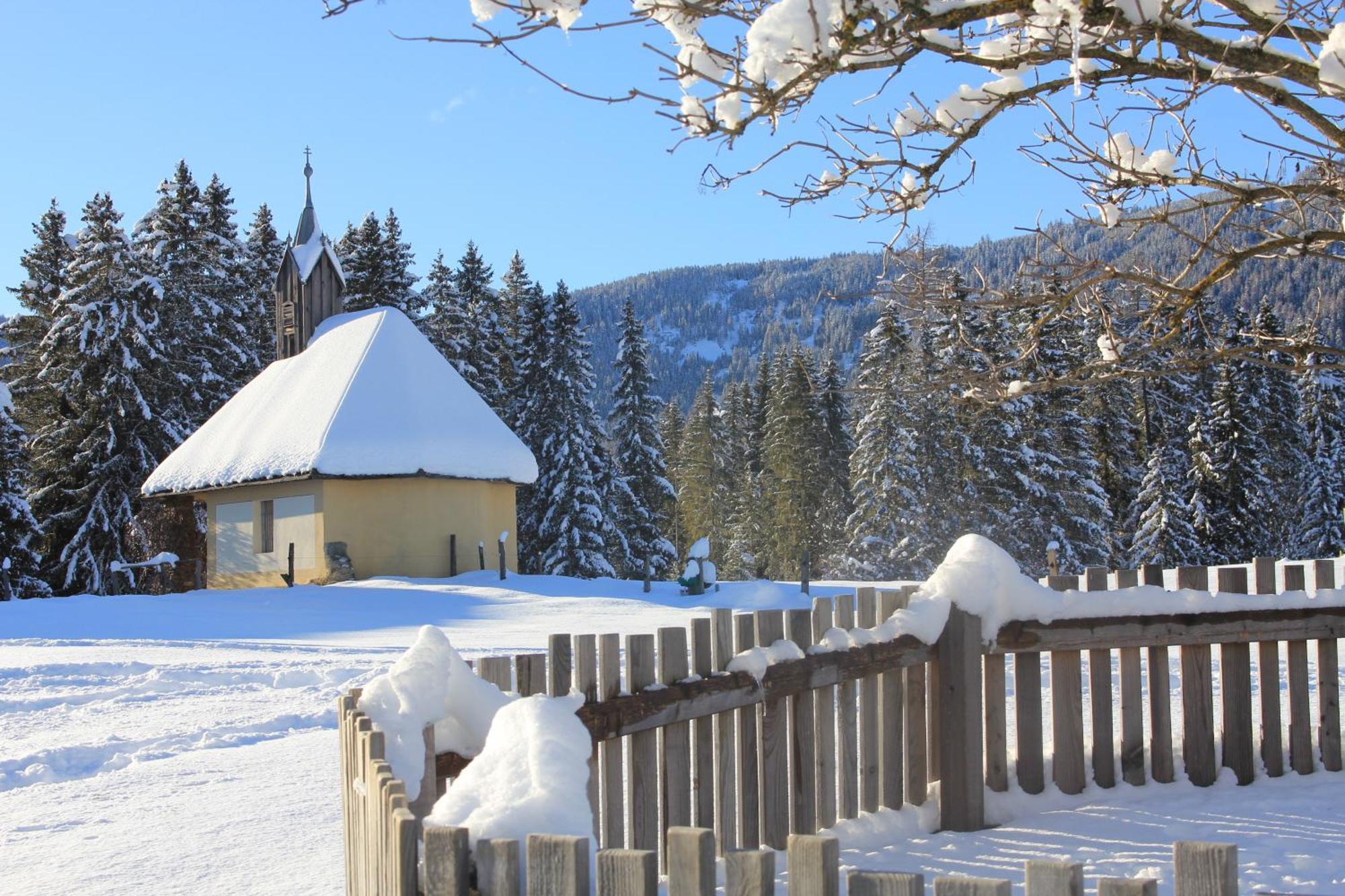 فيلا Urlaub Am Bio-Bauernhof Liebchen Zeutschach المظهر الخارجي الصورة