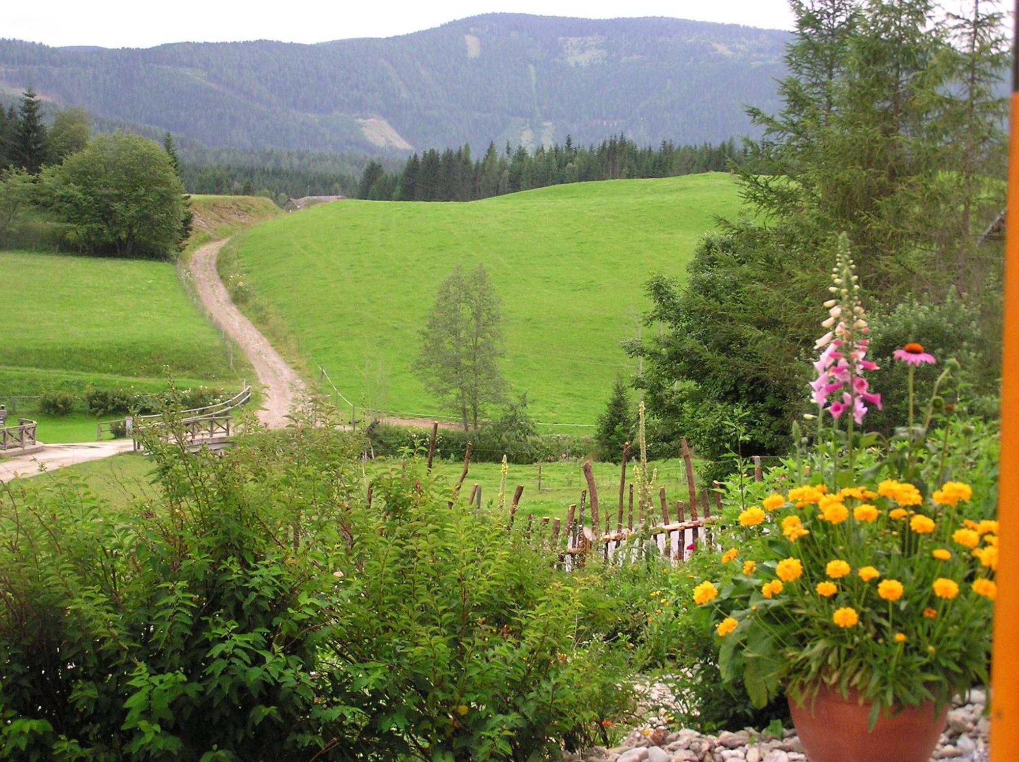 فيلا Urlaub Am Bio-Bauernhof Liebchen Zeutschach المظهر الخارجي الصورة