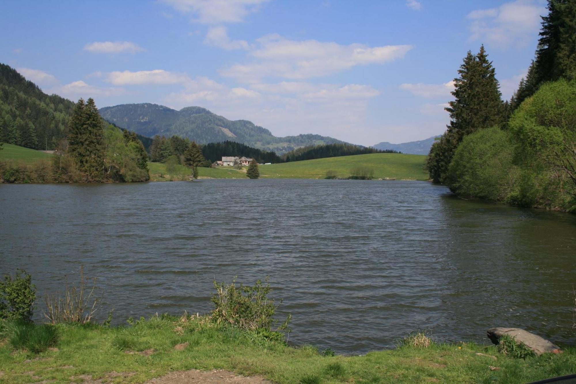 فيلا Urlaub Am Bio-Bauernhof Liebchen Zeutschach المظهر الخارجي الصورة