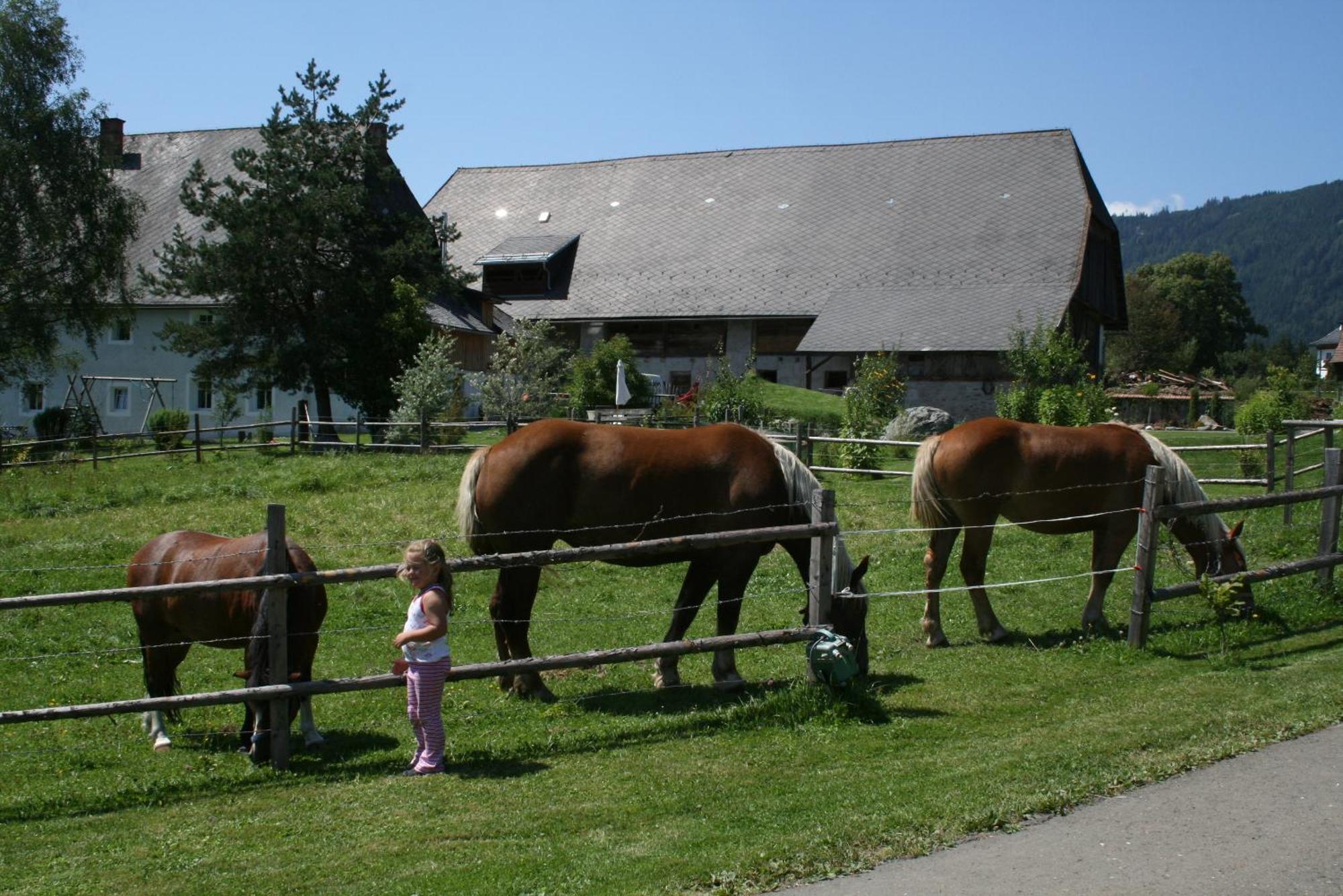 فيلا Urlaub Am Bio-Bauernhof Liebchen Zeutschach المظهر الخارجي الصورة